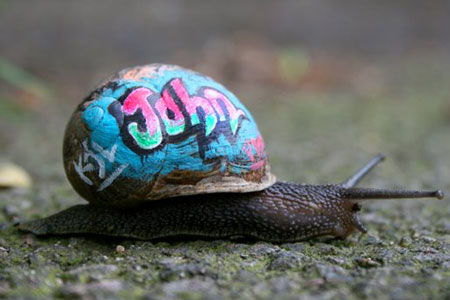 snailfree_450x300